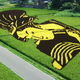 Illustration for article titled Behold These Incredible Artworks Grown from a Rice Field in Japan